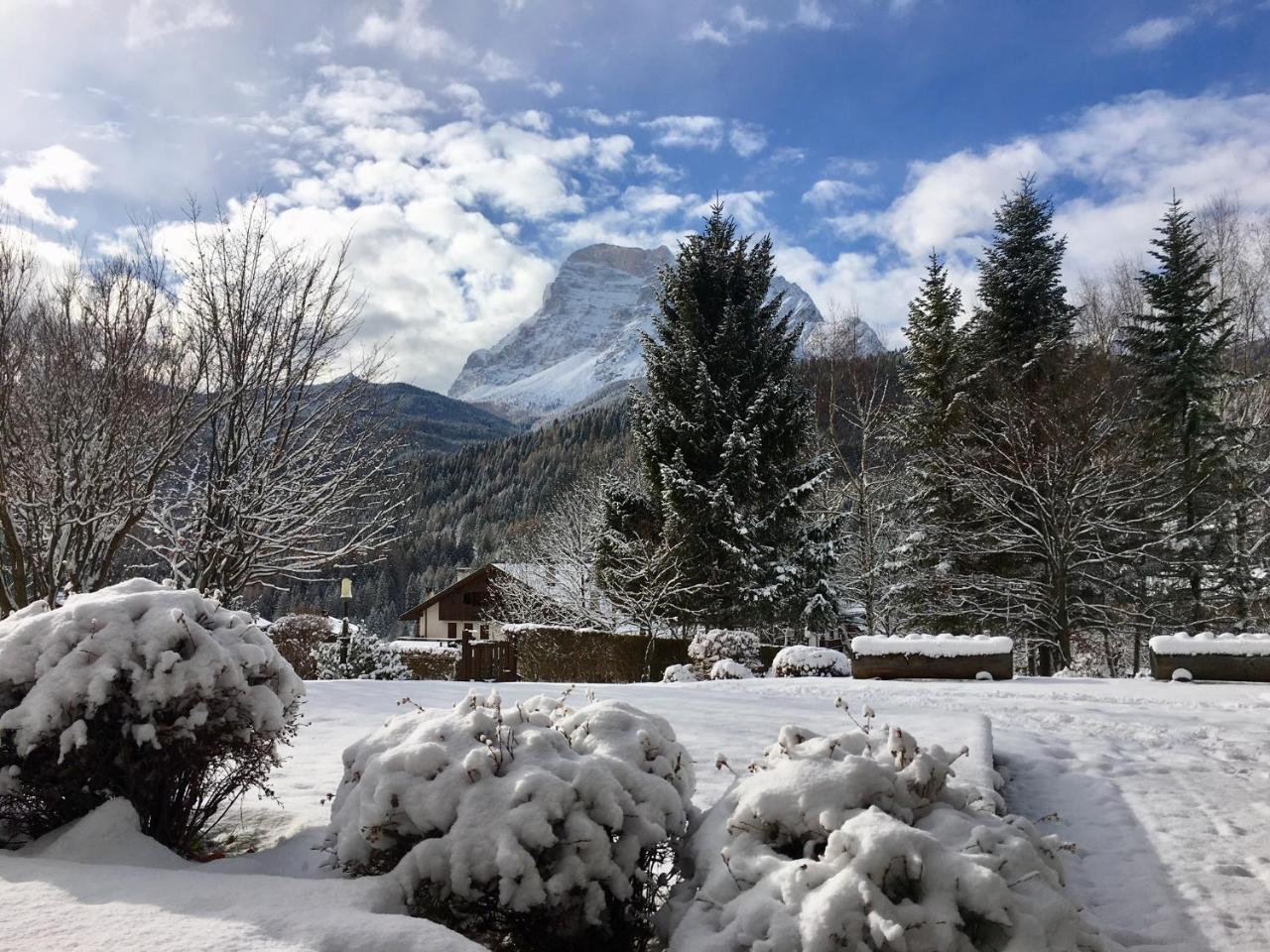 Parkhotel Ladinia San Vito di Cadore Dış mekan fotoğraf