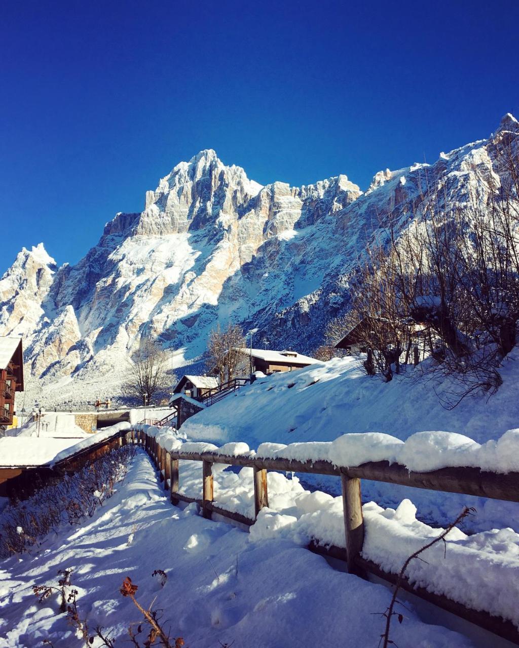 Parkhotel Ladinia San Vito di Cadore Dış mekan fotoğraf